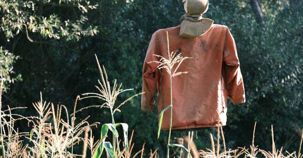 a scarecrow wearing a brown jacket stands amidst tall grasses in a rural cornfield