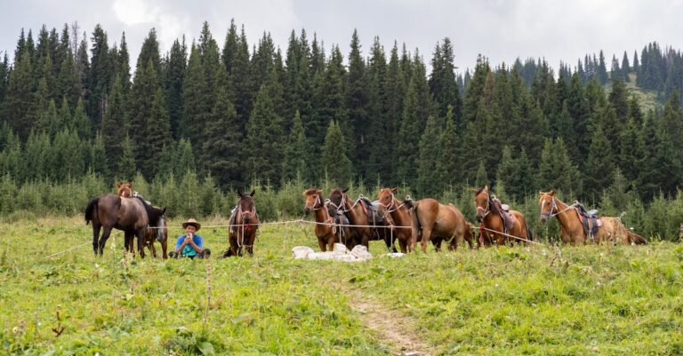 9 Alternative Pasture Management Techniques Old-Time Farmers Swear By