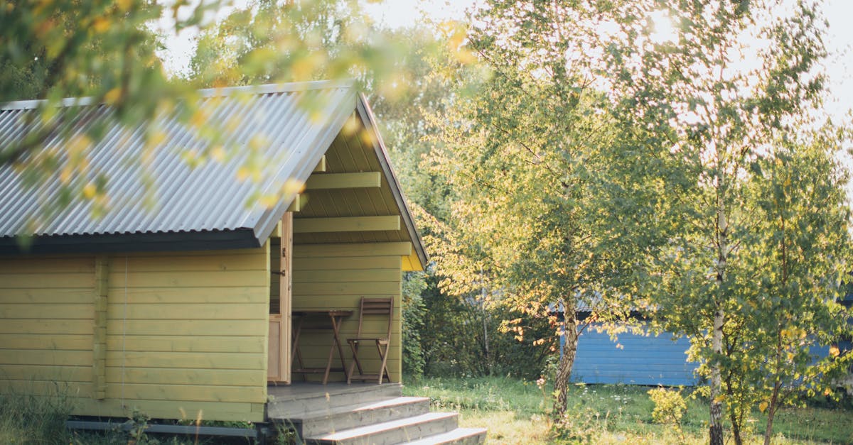 a serene wooden cabin surrounded by trees in a sunlit forest setting