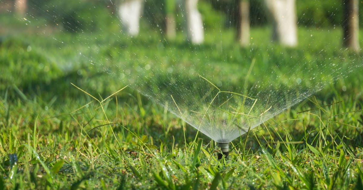 a sprinkler system watering a lush green grass field outdoors during daytime 1