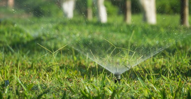 10 Best Garden Timers for Automated Watering That Save Time and Effort