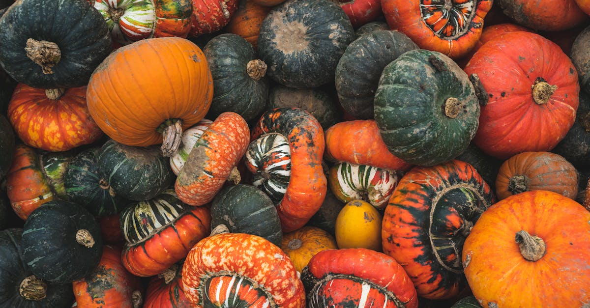 a vibrant display of assorted pumpkins and squash showcasing autumn harvest and organic farming in e