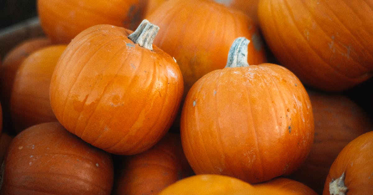 a vibrant display of orange pumpkins capturing the essence of fall and harvest season