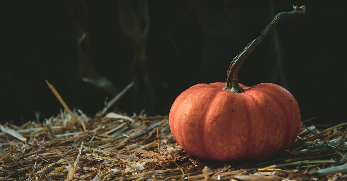 a vibrant orange pumpkin rests on a straw bale embodying fall s rustic charm