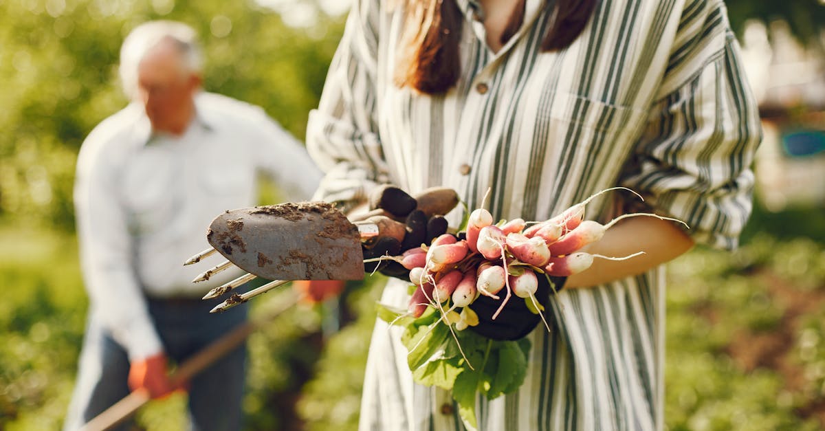 a woman holds freshly harvested radishes in a sunny garden while an older man tends to the soil