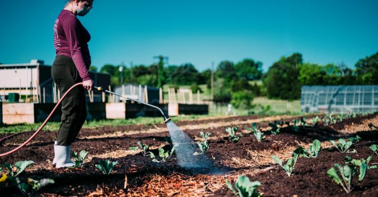 11 Urban Gardening Irrigation Solutions That Maximize Tiny Growing Spaces