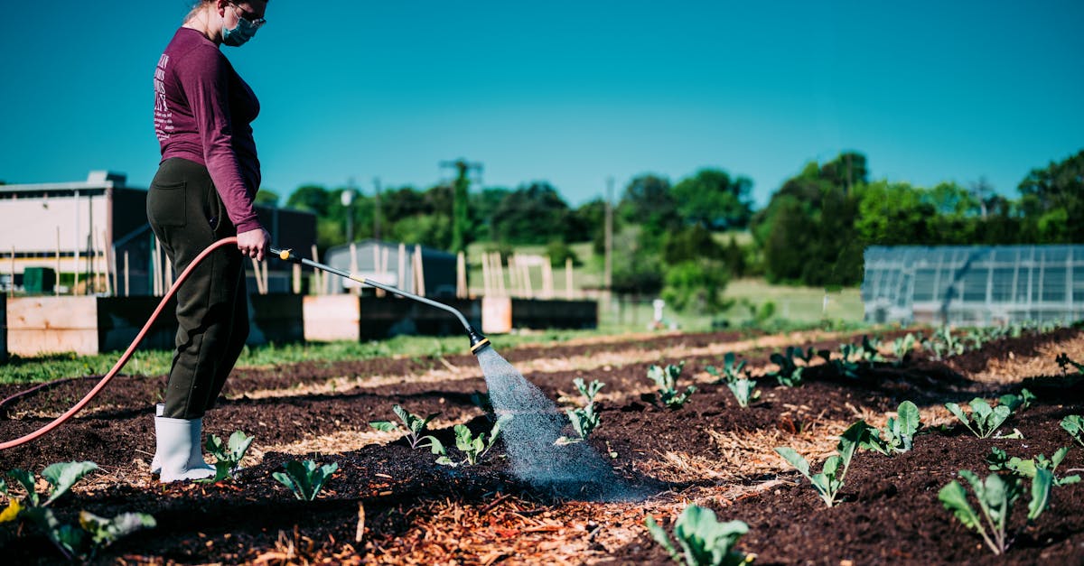 a woman waters crops in an urban farm promoting sustainable agriculture