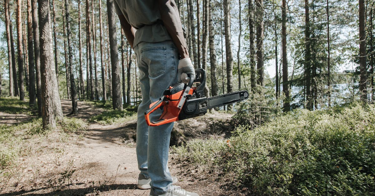 a worker holding a chainsaw stands in a forest surrounded by trees on a sunny day