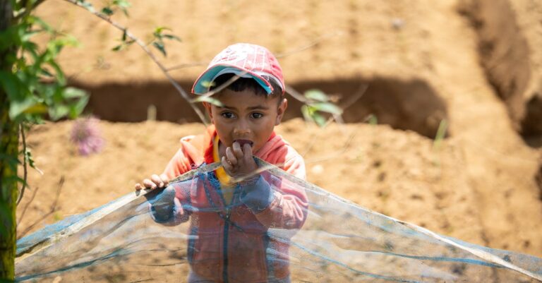 10 Best Bird Netting Solutions for Crop Safety That Prevent Common Issues