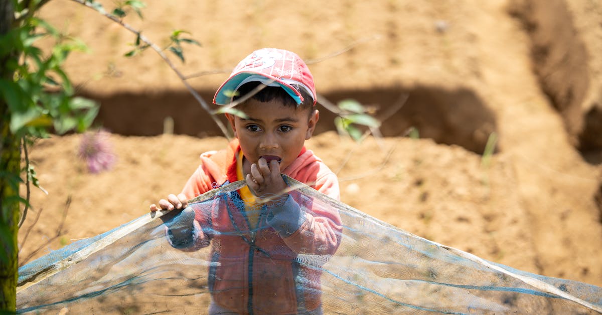 a young child holding a net on a sunny rural farm exuding innocence and curiosity