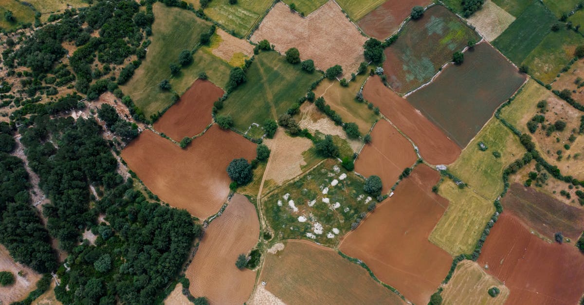 aerial shot showcasing diverse patterns of serene farm fields and lush greenery