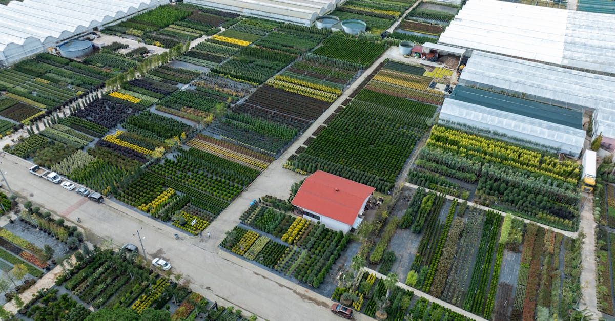 aerial view of nursery fields and greenhouses in yalova turkiye 1