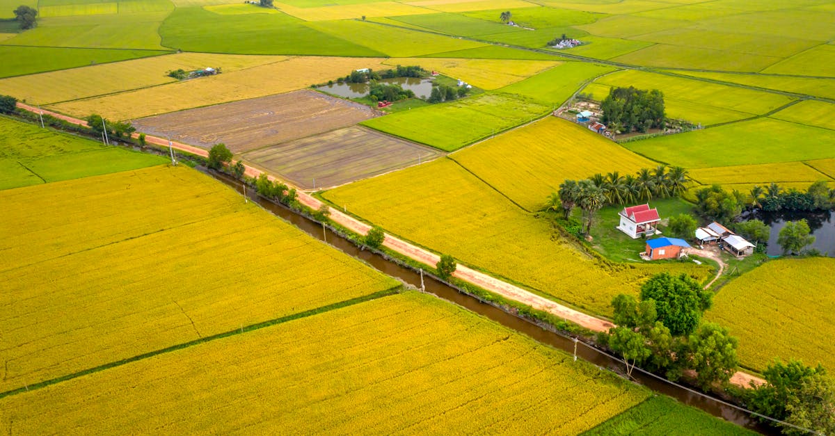 aerial view showcasing picturesque countryside fields winding road and tranquil canal