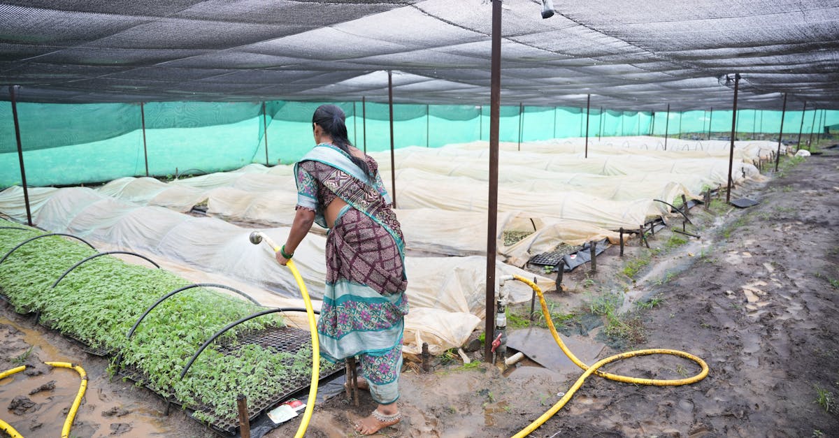 an indian woman waters plants in a greenhouse nurturing seedlings for sustainable agriculture 1