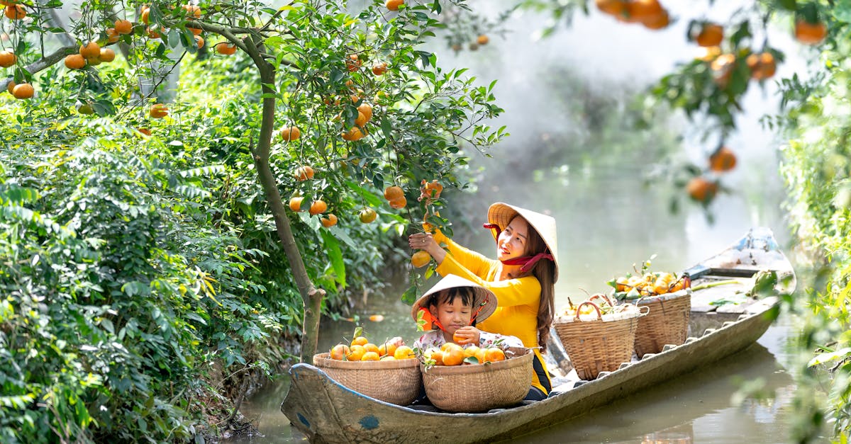 asian mother and child picking oranges from a tree while on a boat in a canal