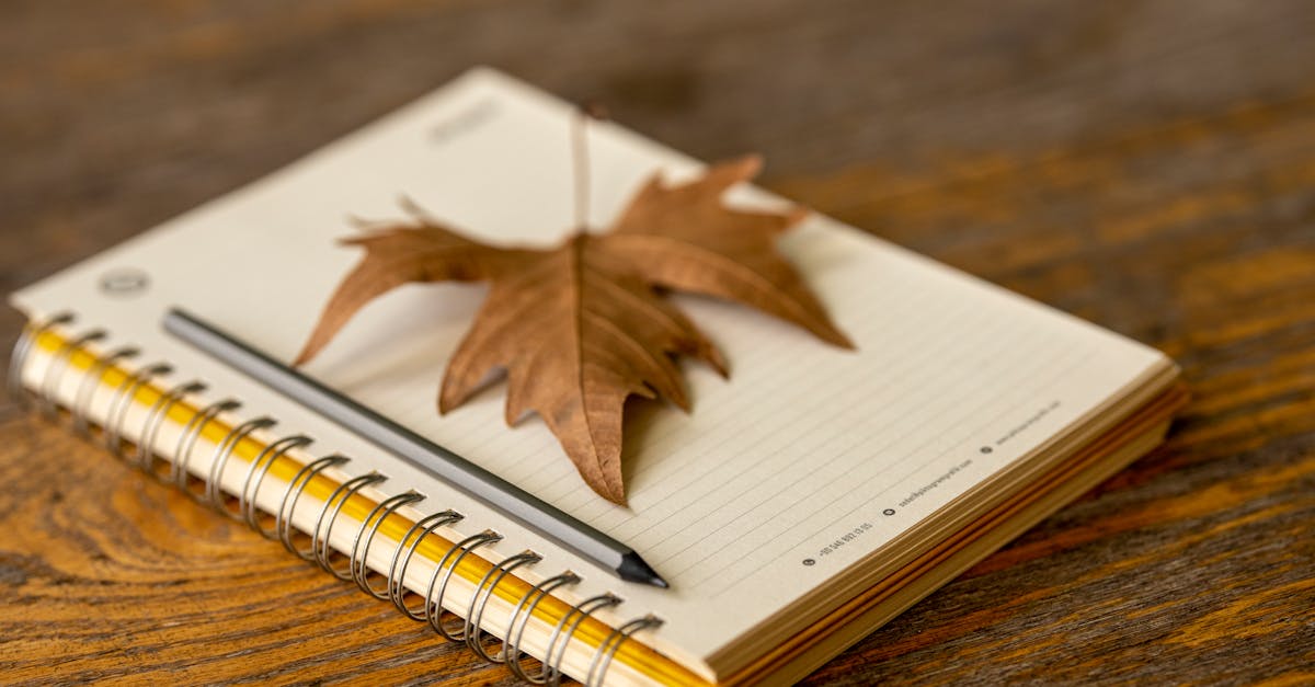 autumn leaf resting on a spiral notebook with pencil evoking a sense of reflection and creativity