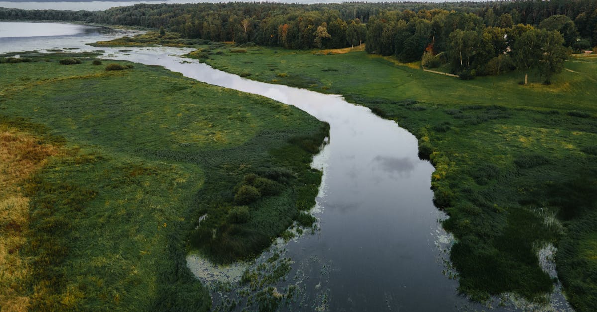 beautiful aerial view of a lush green countryside with a river meandering through the landscape