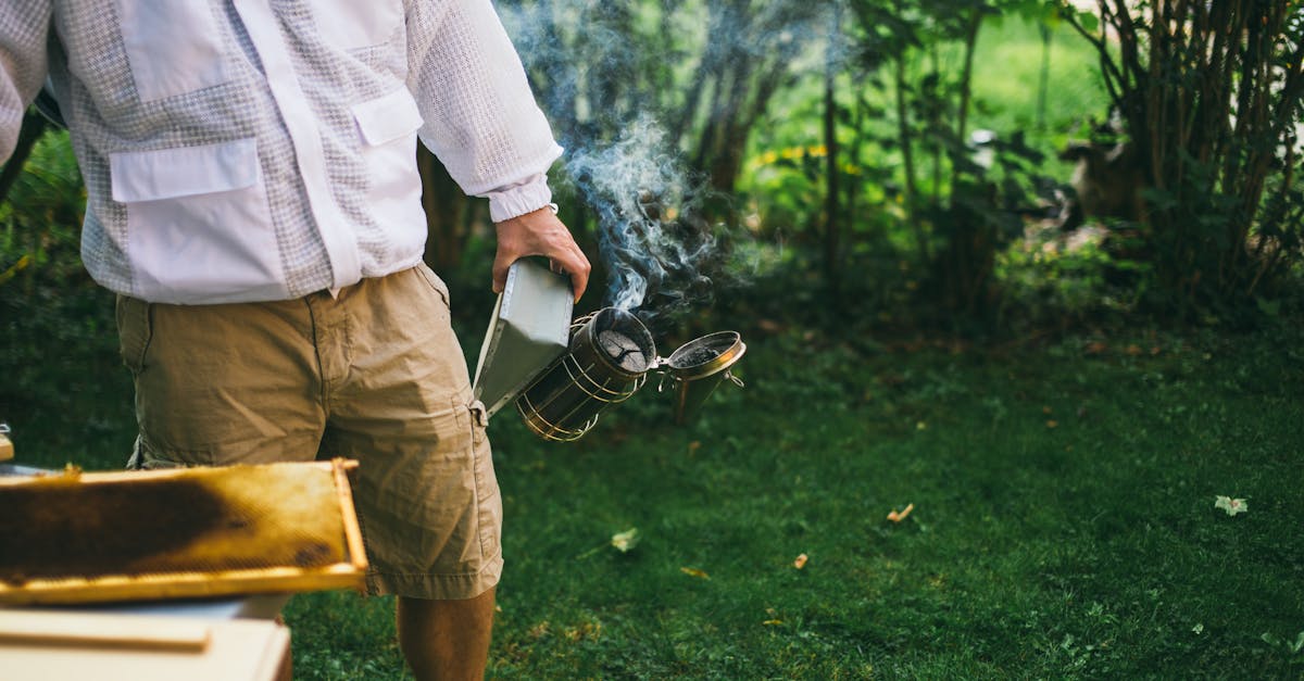 beekeeper in protective clothing using a smoker in a bright green garden setting