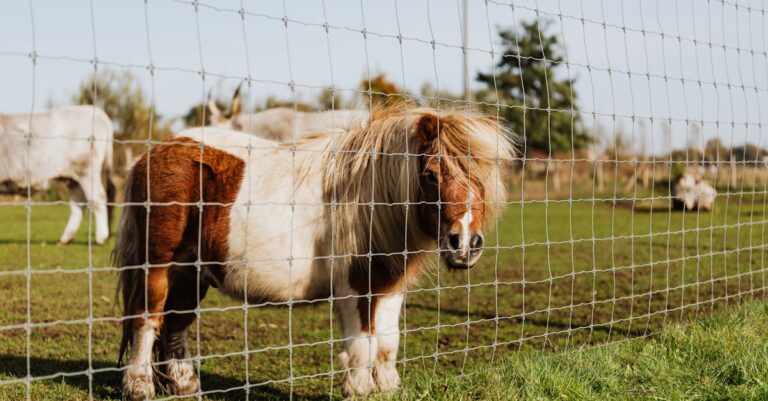 9 Rotational Grazing Techniques That Maximize Small Farm Profits