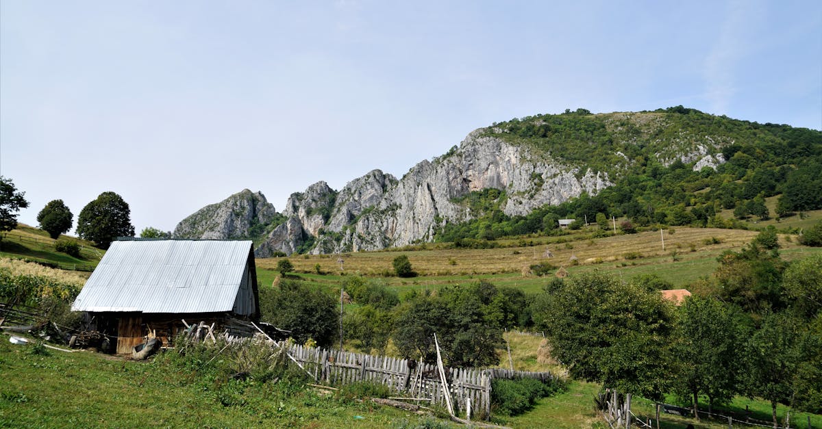 charming rural cabin surrounded by lush greenery and rocky hills under a clear sky