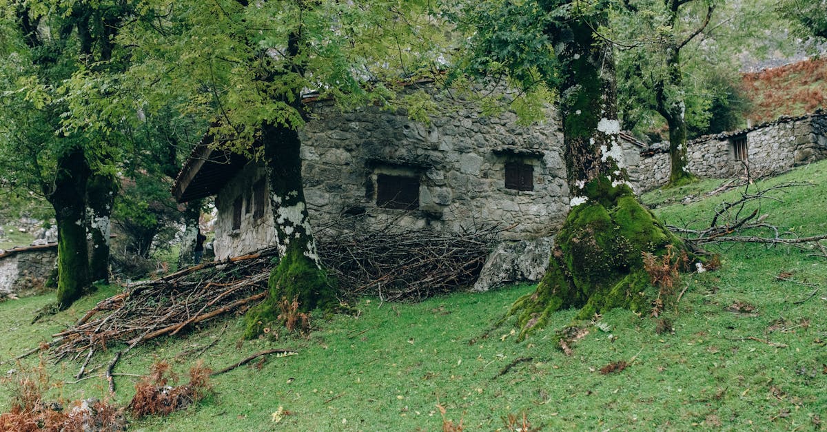 charming stone house surrounded by green forest and moss covered trees