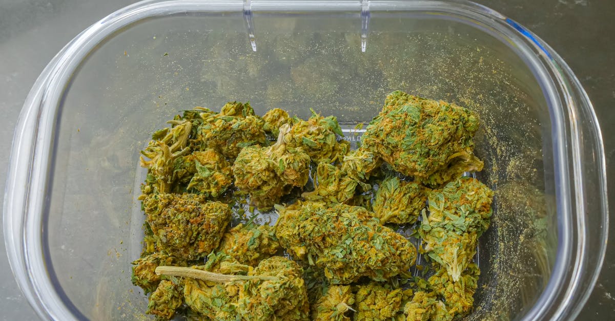 clear plastic container filled with dried cannabis buds from above emphasizing texture and color