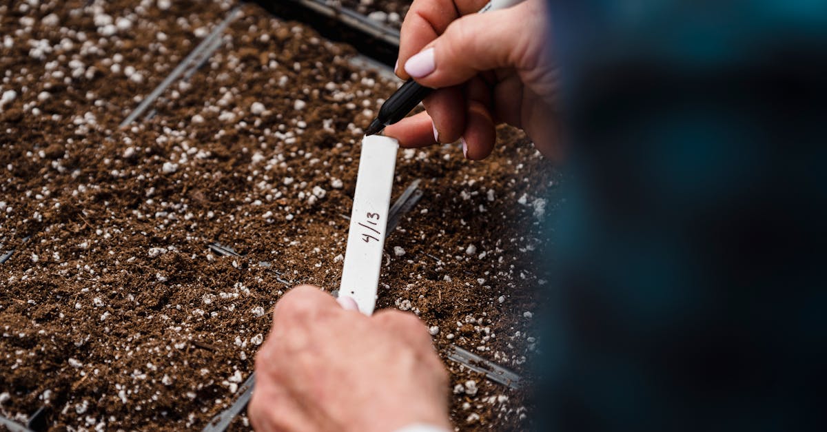 close up image of a gardener writing dates on a plant label in newly sown soil 1