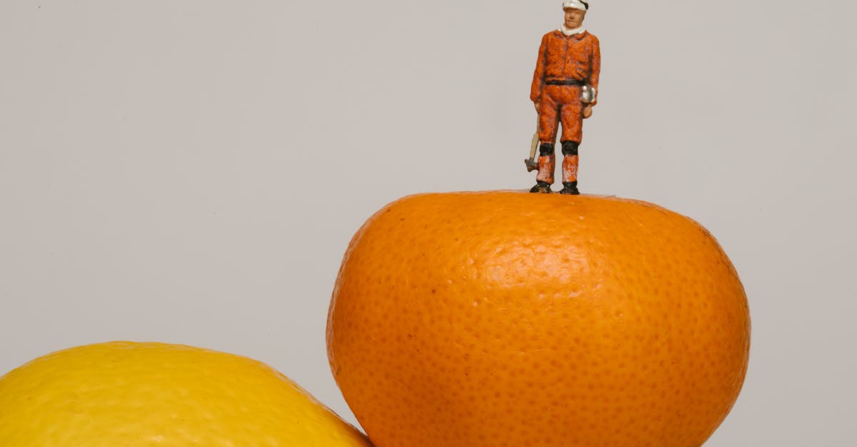 close up of a tiny figurine atop stacked citruses featuring lemon clementine and lime