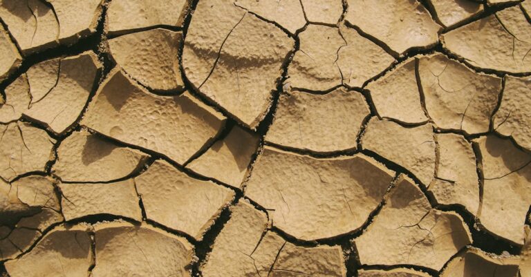 10 Best Soil Retention Strategies for Drought Conditions That Boost Resilience