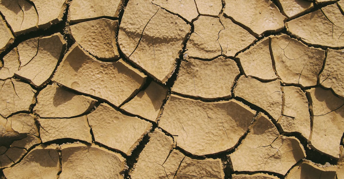 close up of cracked dry soil conveying the harshness of arid desert conditions