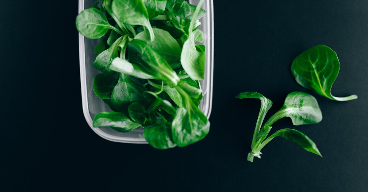 close up of fresh green salad leaves in a plastic container on a black background