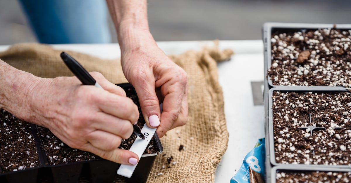 close up of gardener s hands labeling a seedling tray with soil preparing for planting 1