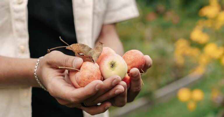 8 Crop Rotation for Backyard Orchards That Maximize Natural Abundance