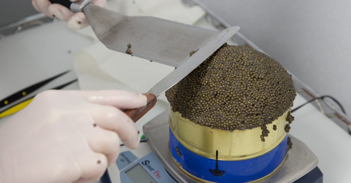 close up of hands in gloves precisely weighing caviar using a spatula and digital scale