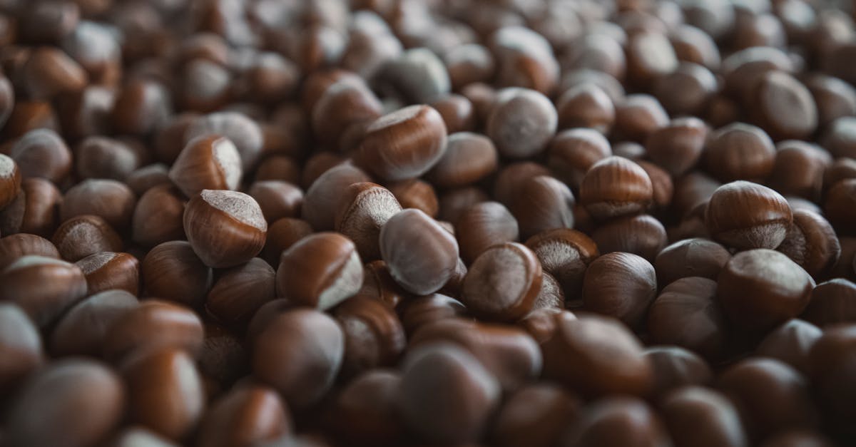 close up of organic hazelnuts harvested in seydisehir konya turkiye 1