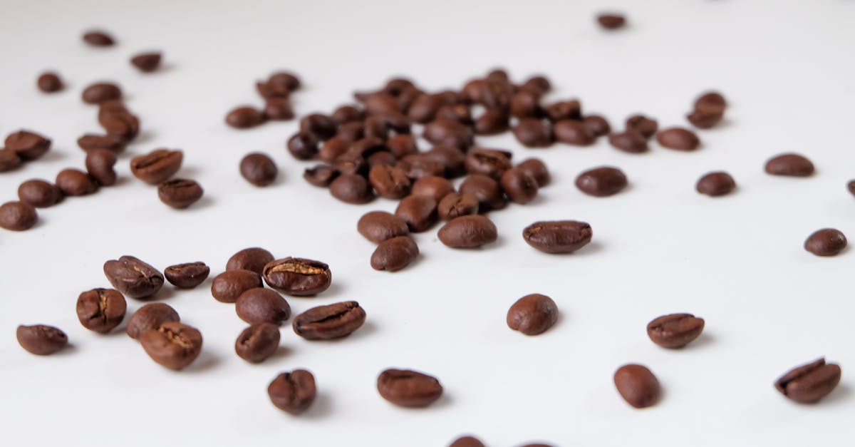 close up of scattered roasted coffee beans on a white background perfect for coffee related themes