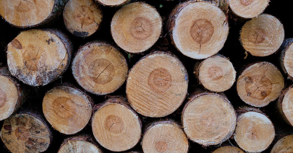 close up of stacked wooden logs showcasing natural textures in penrith uk