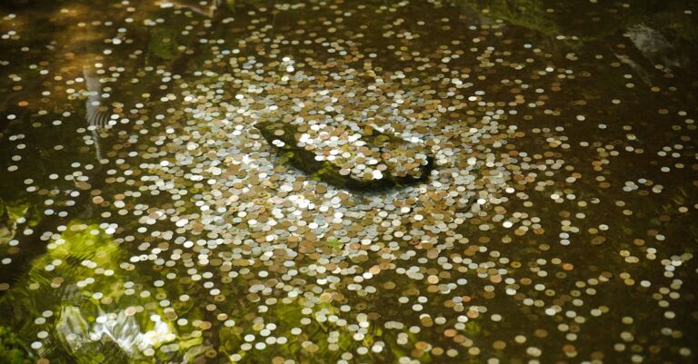 10 Best Floating Fountains for Pond Aeration That Enhance Aesthetics