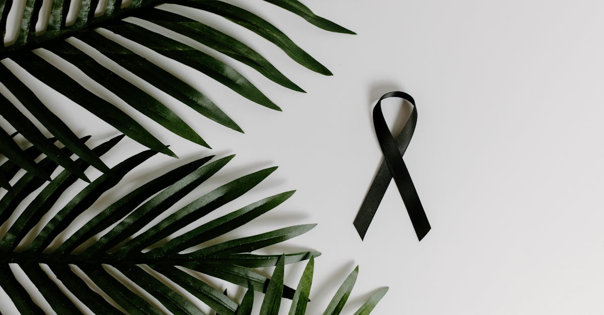 conceptual image of a black ribbon symbolizing cancer awareness with palm leaves