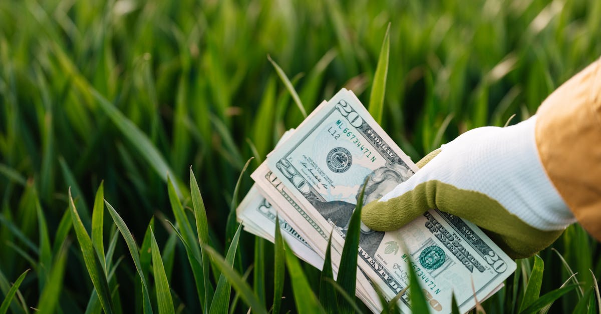 crop faceless grower in garden gloves demonstrating heap of paper money with photo of unrecognizable 1