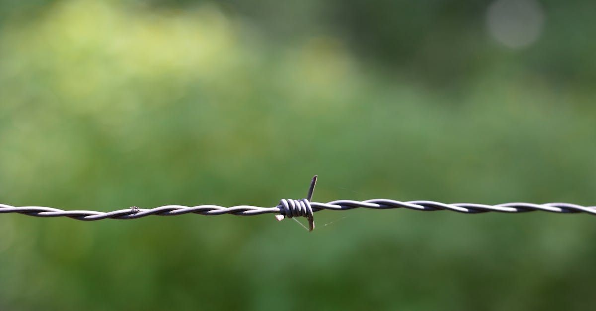 detailed shot of barbed wire with soft focus green background emphasizing security