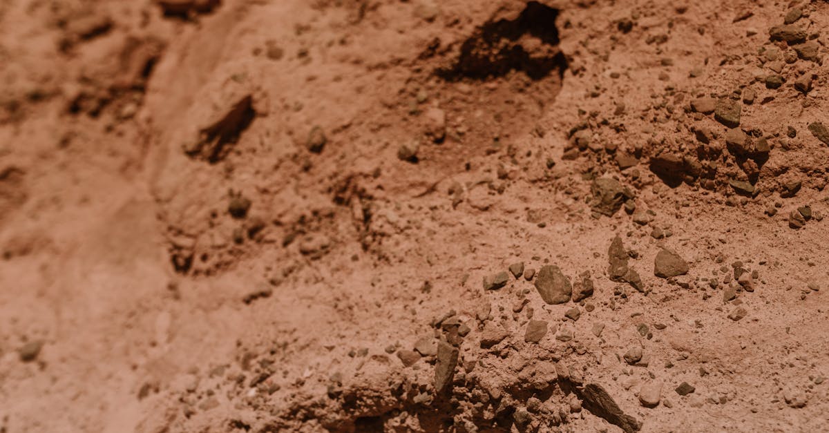 detailed view of dry arid soil texture with rough surfaces and cracks