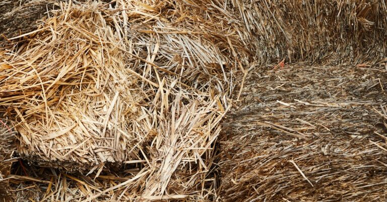 10 Best Hay Storage Solutions for Hobby Farms That Protect Your Investment