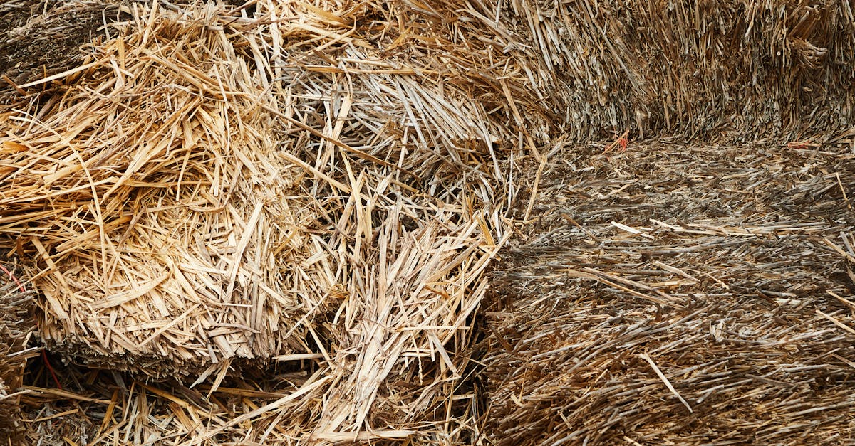 detailed view of textured straw bales stacked in a rural setting