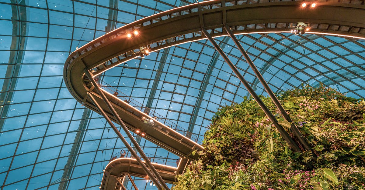 discover the stunning modern design and lush greenery of singapore s renowned cloud forest