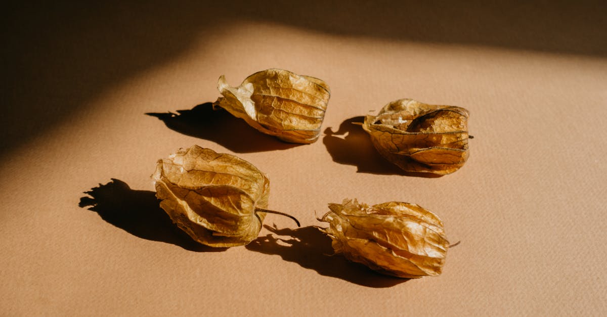 dried cape gooseberries on a brown surface with dramatic lighting and shadows