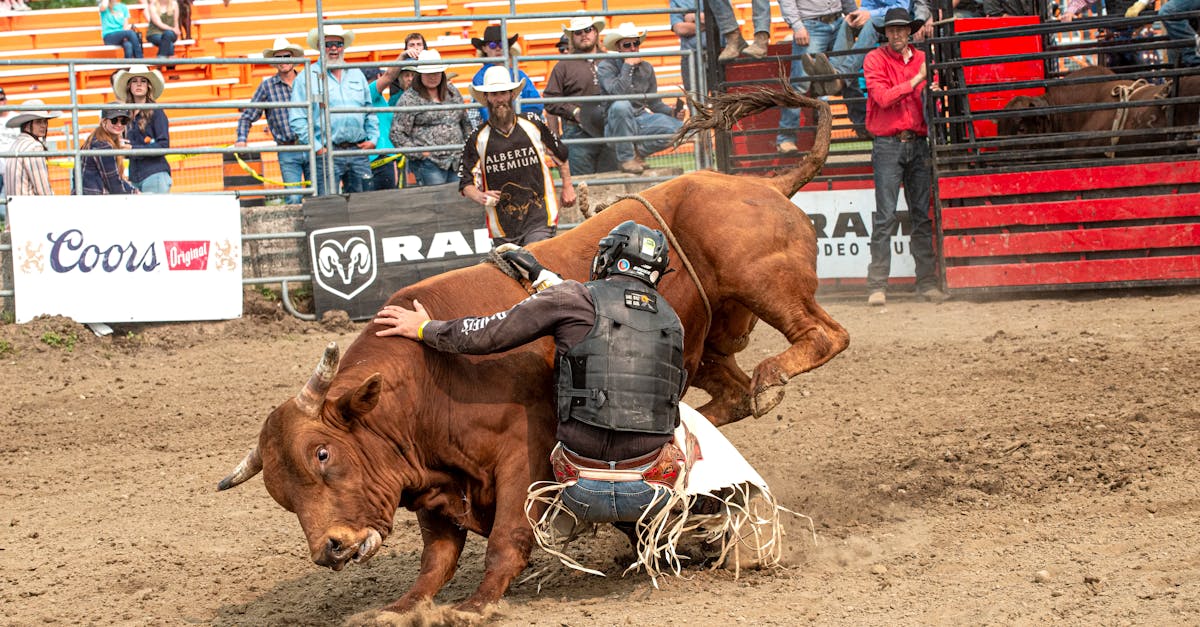 dynamic image capturing the intensity of a rodeo bull riding competition showcasing a cowboy in act