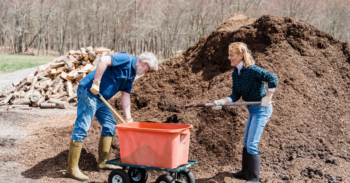 elderly couple shoveling soil into a trolley during spring gardening outdoors