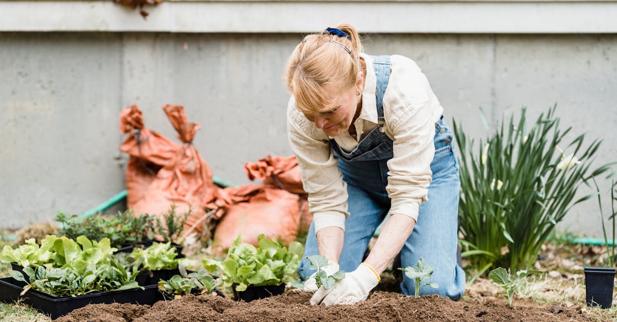 elderly woman tending to garden plants outdoors in springtime