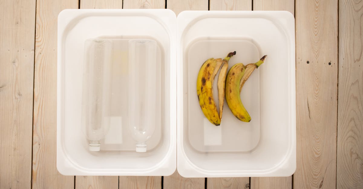 empty plastic bottles and banana peels sorted in containers for recycling and composting